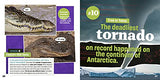 Totally Random Questions Volume 1: 101 Wild and Weird Q&As - Retail Maharaj