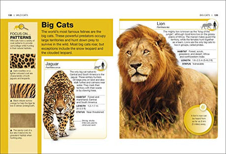 Cats: Facts at Your Fingertips - Retail Maharaj