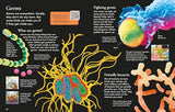 First Encyclopedia of the Human Body - Retail Maharaj