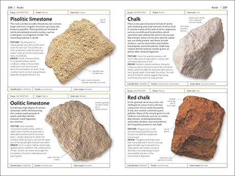 Rocks and Minerals - Retail Maharaj