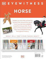 Horse - Retail Maharaj