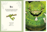 An Anthology of Intriguing Animals Poster Book: With More Than 30 Reversible Tear-Out Posters - Retail Maharaj