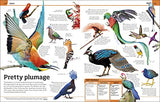 Animal Knowledge Genius!: A Quiz Encyclopedia to Boost Your Brain - Retail Maharaj