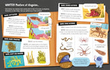 Lots Of Things To Know About Seas And Oceans - Retail Maharaj
