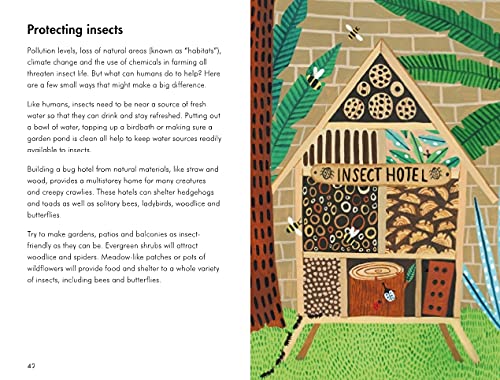A Ladybird Book: Insects and Minibeasts - Retail Maharaj