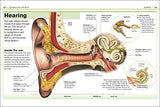 Pocket Eyewitness Human Body - Retail Maharaj