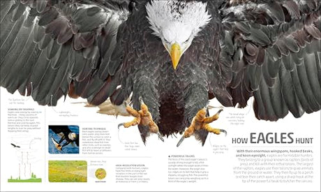 Explanatorium of Nature: Where the Wonders of the World are Revealed - Retail Maharaj