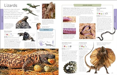 Animals: A Children's Encyclopedia - Retail Maharaj