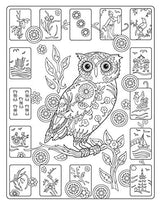SARNAT-CREATIVE HAVEN OWLS CB - Retail Maharaj