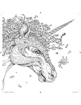 Colormorphia - Retail Maharaj