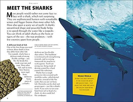 Sharks: Riveting Reads for Curious Kids (Mega Bites) - Retail Maharaj