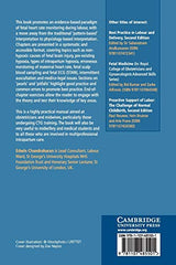 Handbook of CTG Interpretation: From Patterns to Physiology - Retail Maharaj