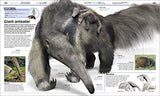 Knowledge Encyclopedia Animal!: The Animal Kingdom as you've Never Seen it Before - Retail Maharaj