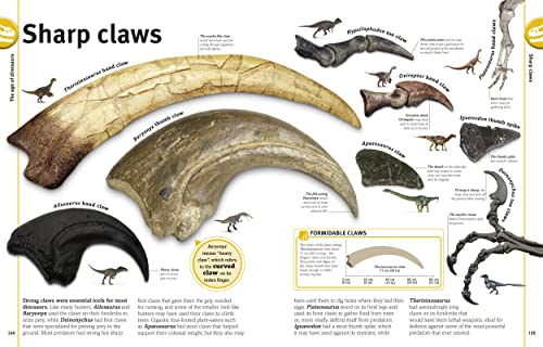 The Dinosaur Book: Our World in Pictures - Retail Maharaj