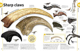The Dinosaur Book: Our World in Pictures - Retail Maharaj