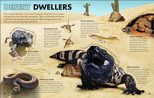 Everything You Need to Know About Snakes: And Other Scaly Reptiles - Retail Maharaj