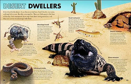 Everything You Need to Know About Snakes: And Other Scaly Reptiles - Retail Maharaj