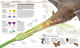 Knowledge Encyclopedia Plants and Fungi!: Our Growing World as You've Never Seen It Before - Retail Maharaj
