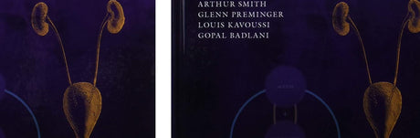 Smith's Textbook of Endourology: 2 Volume Set - Retail Maharaj