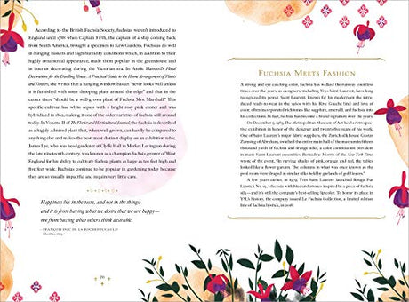 The Language of Flowers - Retail Maharaj