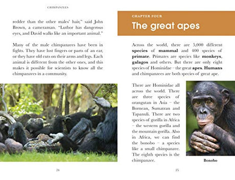 Penguin Readers Level 3: Dynasties: Chimpanzees (ELT Graded Reader) - Retail Maharaj