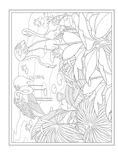 Creative Haven Tropical Wonders Coloring Book - Retail Maharaj