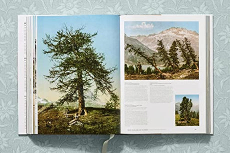 ALPS 1900 A PORTRAIT IN COLOR: A Tour in Color / Eine Reise in Farbe / Un Voyage En Couleurs (XL) - Retail Maharaj