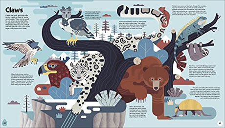 Evolved: An Illustrated Guide to Evolution - Retail Maharaj