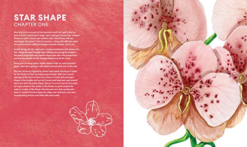 Everyday Watercolor Flowers - Retail Maharaj