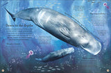 Through the Animal Kingdom: Discover Amazing Animals and Their Remarkable Homes (Journey Through) - Retail Maharaj
