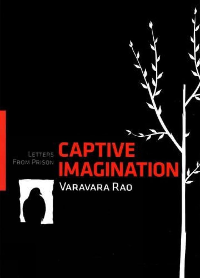 Captive Imagination: Letters from Prison - Retail Maharaj