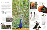 Bird (DK Eyewitness) - Retail Maharaj