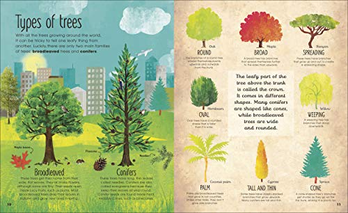 RHS The Magic and Mystery of Trees - Retail Maharaj