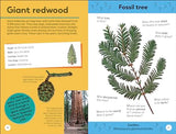Quiz Yourself Clever! Trees of the World - Retail Maharaj