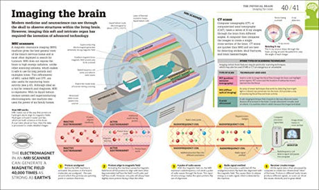 How the Brain Works: The Facts Visually Explained (How Things Work) - Retail Maharaj