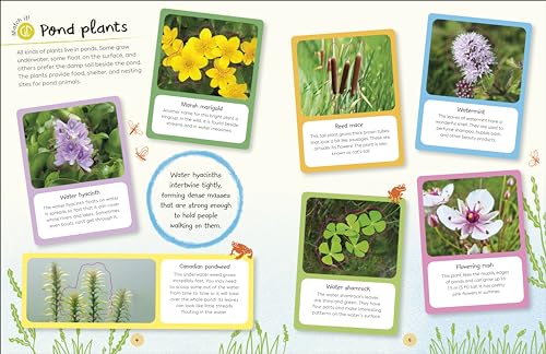 RHS Ultimate Sticker Book Garden Pond: New Edition with More Than 250 Stickers - Retail Maharaj