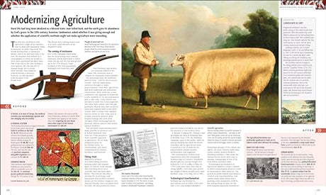 History of Britain and Ireland: The Definitive Visual Guide - Retail Maharaj