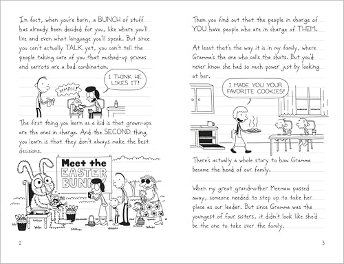 Diary of a Wimpy Kid: Hot Mess (Book 19) - Retail Maharaj