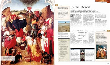 The Illustrated Bible Story by Story - Retail Maharaj