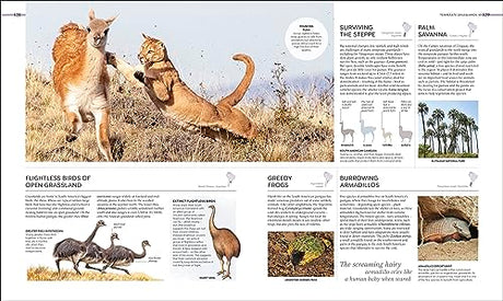 Habitats: Discover Earth's Precious Wild Places - Retail Maharaj