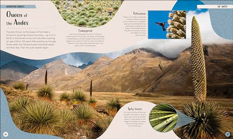 Mountain: Go On a Grand Tour of the Highest Places on Earth - Retail Maharaj