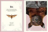 An Anthology of Intriguing Animals Poster Book: With More Than 30 Reversible Tear-Out Posters - Retail Maharaj