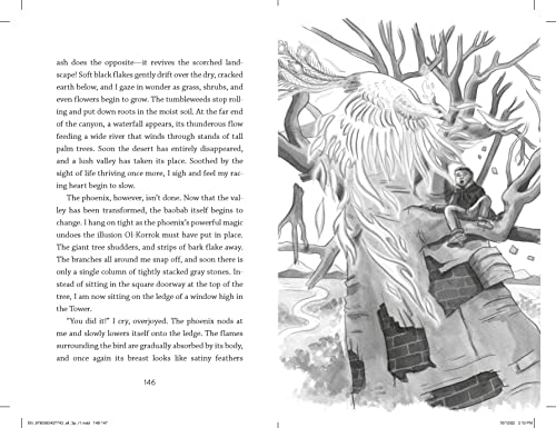 The Enchanted Bridge: 4 (Dragons in a Bag) - Retail Maharaj