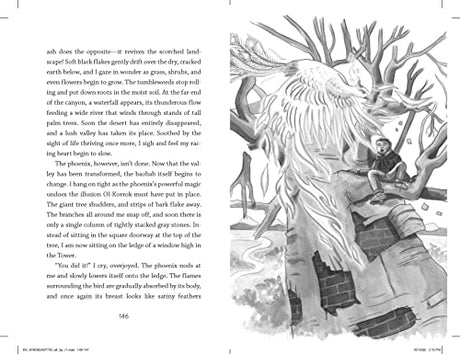 The Enchanted Bridge: 4 (Dragons in a Bag) - Retail Maharaj