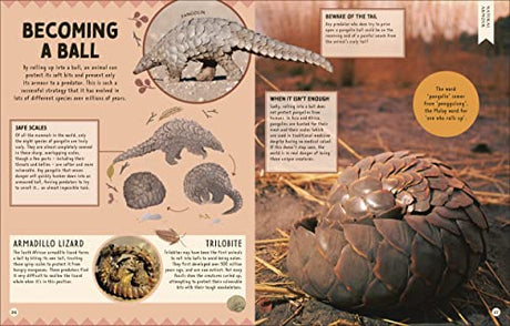 How Not to Get Eaten: More than 75 Incredible Animal Defenses (Wonders of Wildlife) - Retail Maharaj