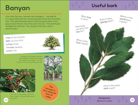Quiz Yourself Clever! Trees of the World - Retail Maharaj