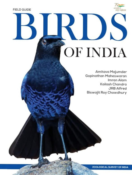 Birds of India - Retail Maharaj