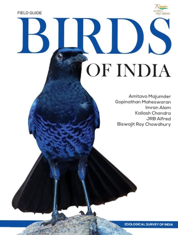Birds of India - Retail Maharaj