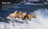Bear Spotting: Band 05/Green (Collins Big Cat Phonics for Letters and Sounds) - Retail Maharaj