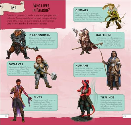 Dungeons & Dragons Pocket Expert - Retail Maharaj